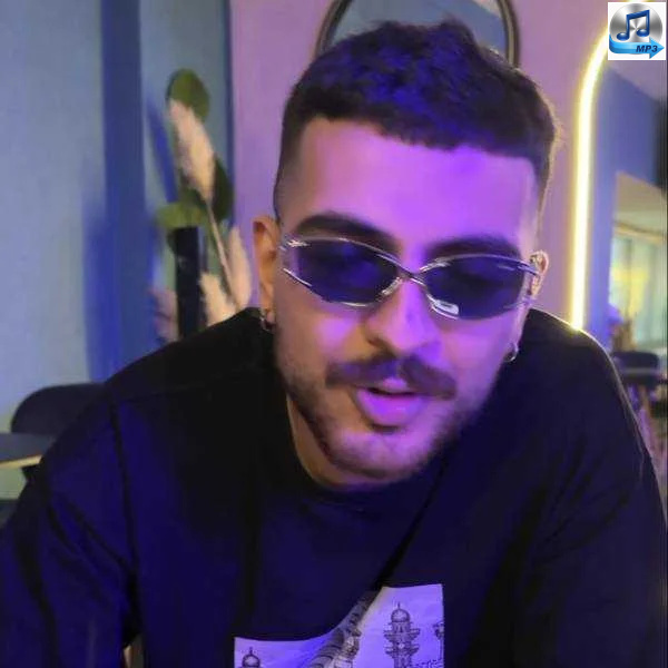 دانلود آهنگ حسام تی ام و بیگ شگی ایگنور Ignore