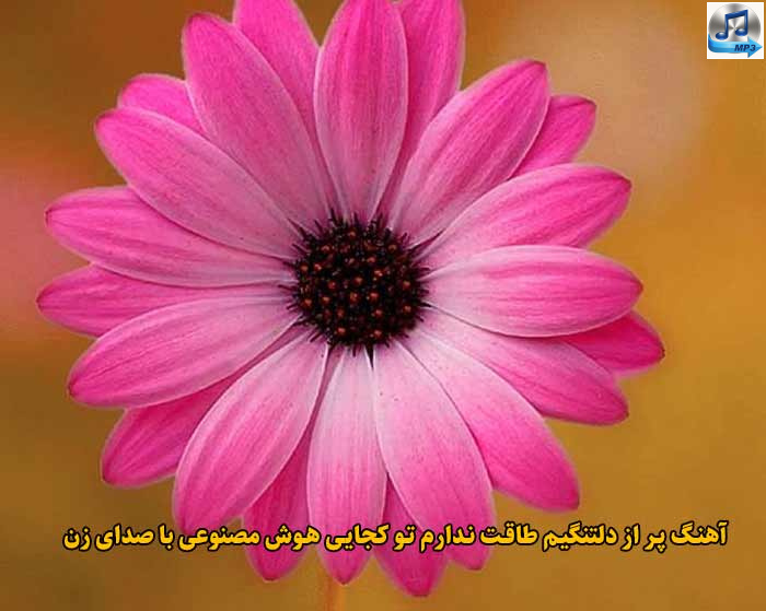 دانلود آهنگ پر از دلتنگیم طاقت ندارم تو کجایی هوش مصنوعی با صدای زن
